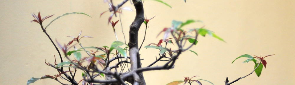 Whissel Realty Group Test Site